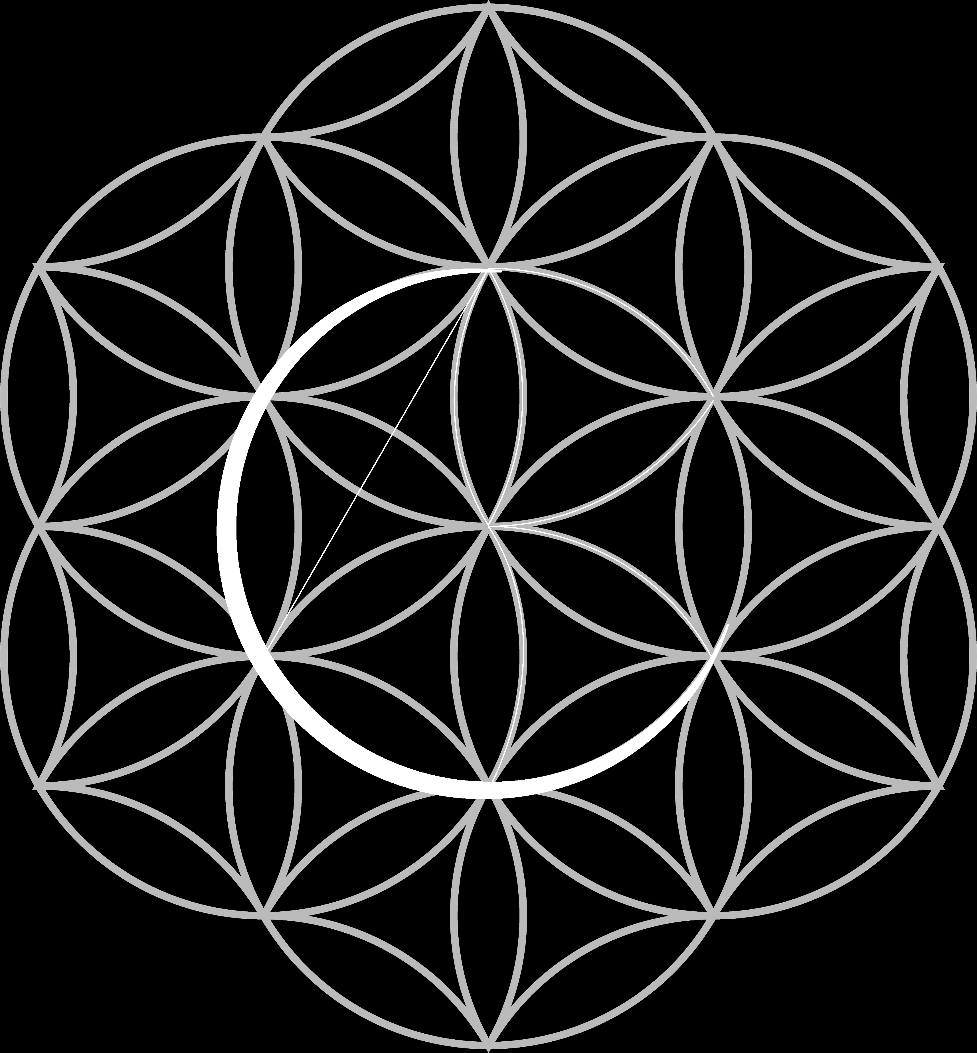 The Flower of Life sacred geometry pattern with CVS letterforms traced within its arcs — showing how the logo mark was drawn from the geometry rather than imposed upon it